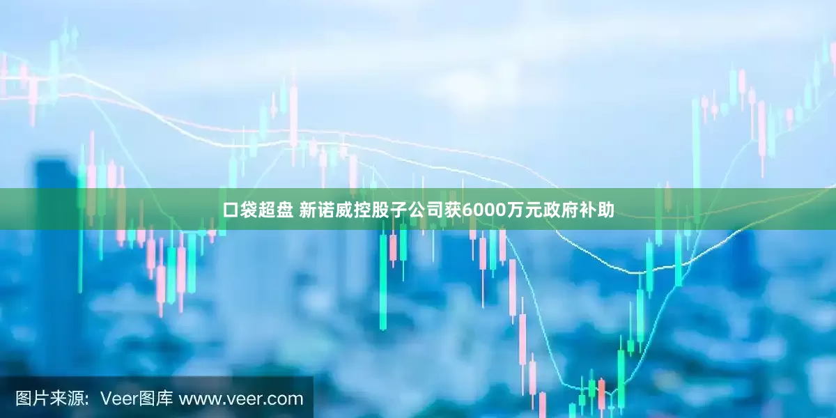 口袋超盘 新诺威控股子公司获6000万元政府补助