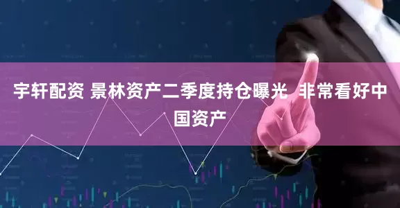 宇轩配资 景林资产二季度持仓曝光  非常看好中国资产