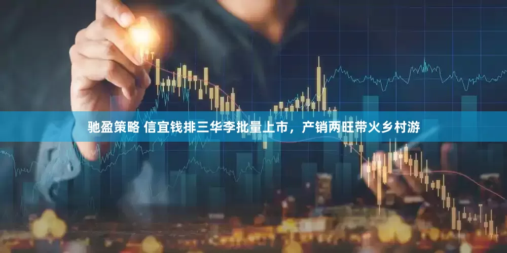 驰盈策略 信宜钱排三华李批量上市，产销两旺带火乡村游